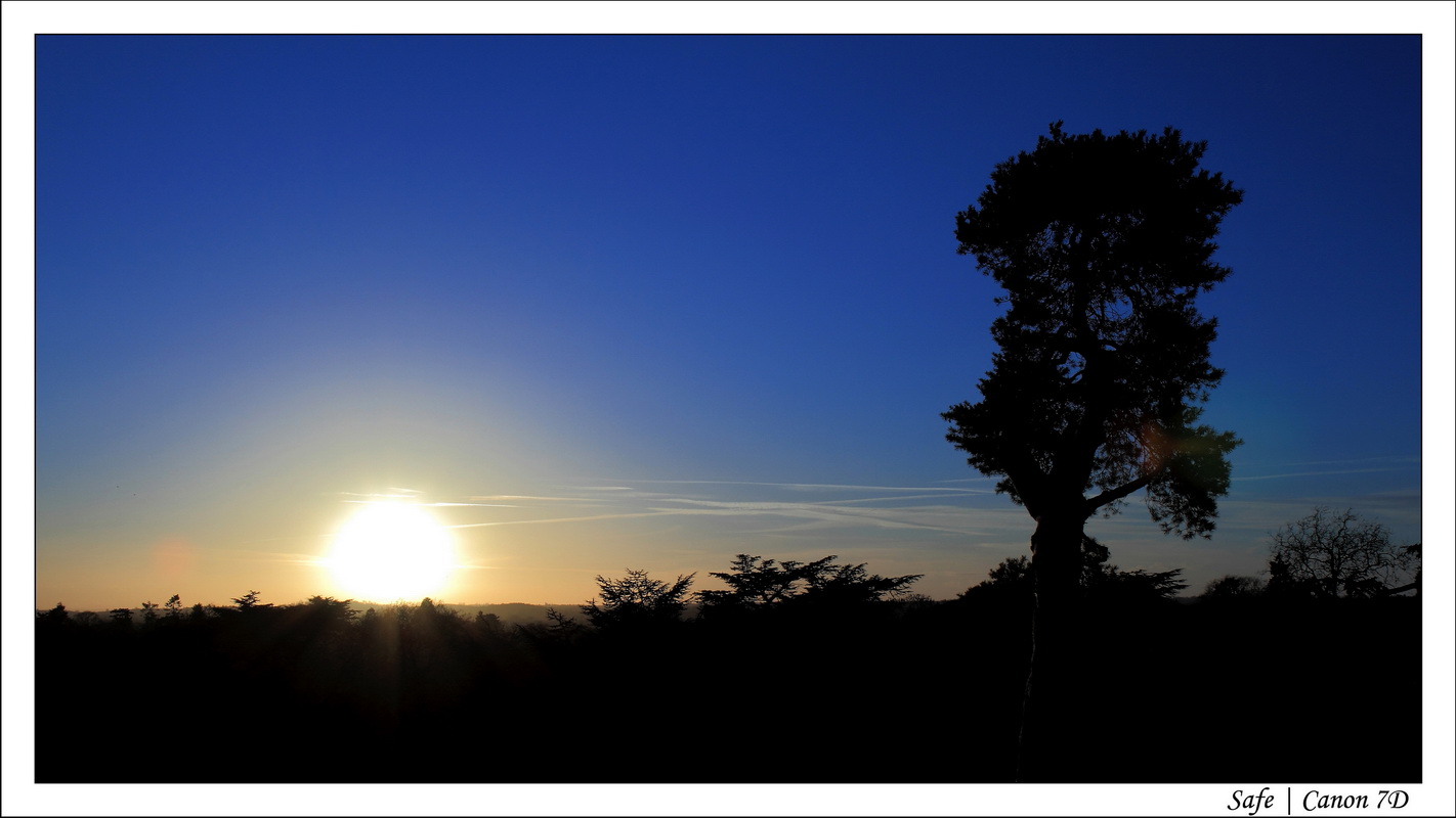 2011 - 01 - Warwick Castle 029